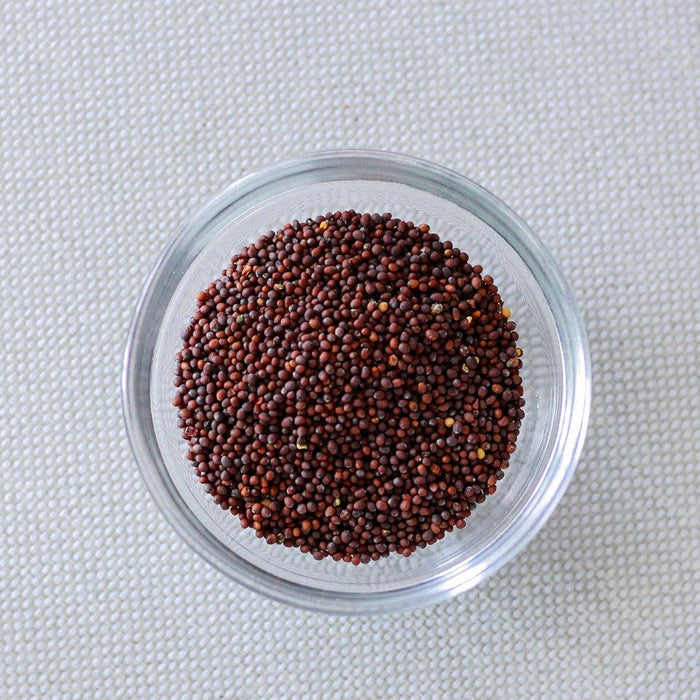 Mustard Seeds, Red Granville Island Spice Co. - South China Seas Trading Co.