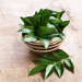 Curry Leaves, Fresh (Package) South China Seas - South China Seas Trading Co.