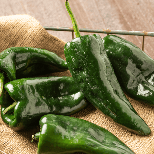 Poblano Peppers, Fresh (WT) Granville Island Spice Co. - South China Seas Trading Co.
