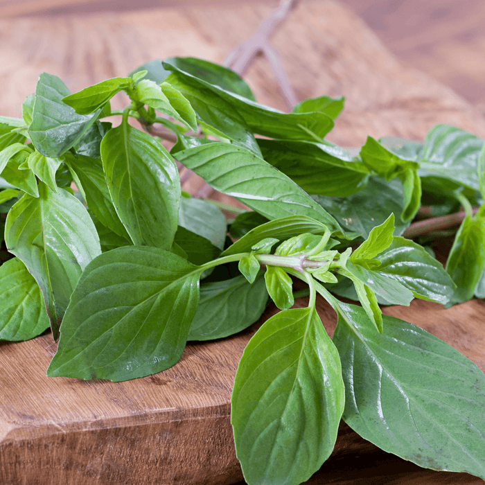 Thai Basil - Red Stem (package), Fresh Granville Island Spice Co. - South China Seas Trading Co.
